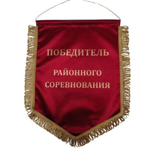 Победитель Районных соревнований