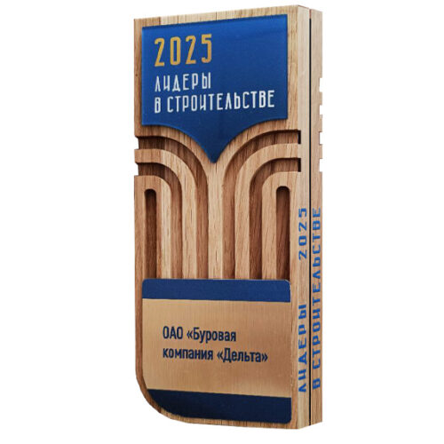 Лидеры в строительстве 2025