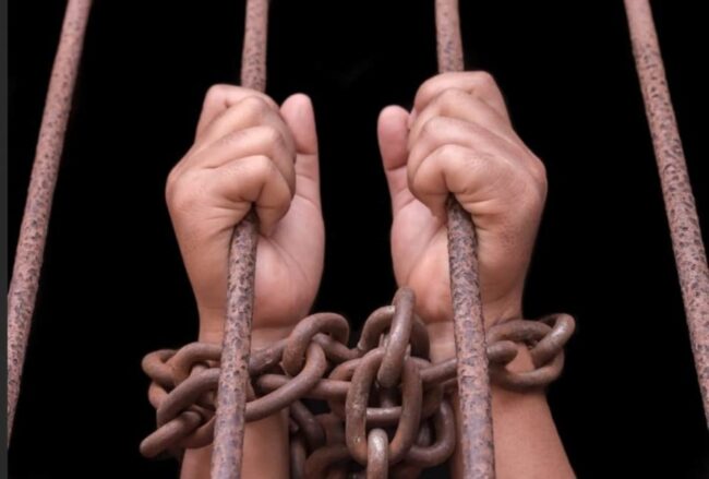 adam-saudasy-960×649