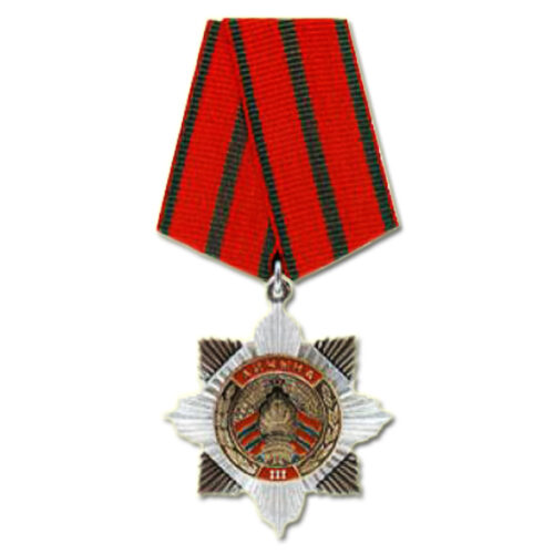 Орден Отечества III степени 2013 год